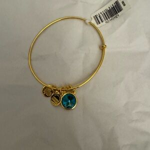 Alex and Ani December birthstone bracelet